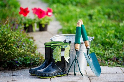 Close-up of raised garden beds suited for accessible gardening